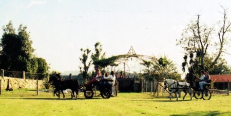 Passeio em charrua